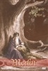 The Legend Of King Arthur: Merlin